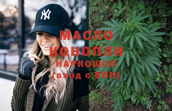 spice Богородицк