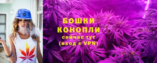 гашик Белоозёрский