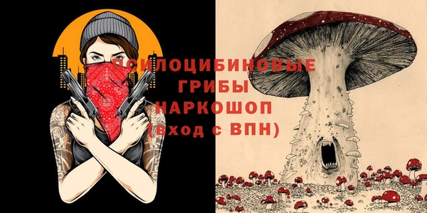 spice Богородицк