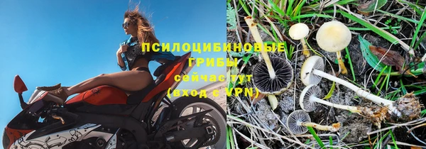 дживик Беломорск
