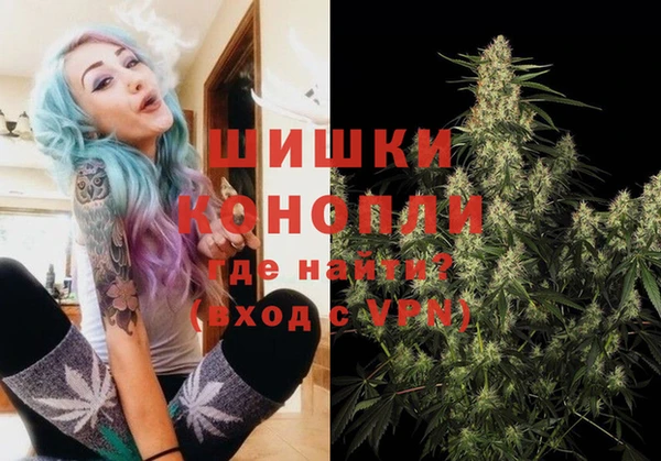 spice Богородицк