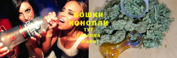гашик Белоозёрский